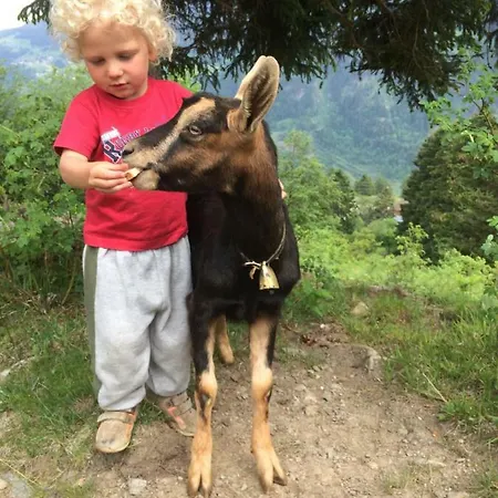 Pirchachhof *