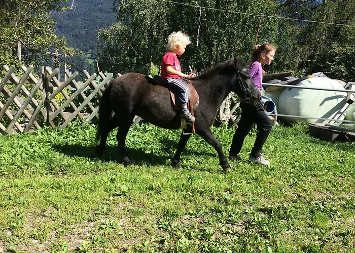 Pirchachhof 公寓 *