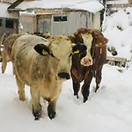 Апартаменты Pirchachhof Веннс