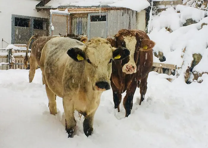 Apartamento Pirchachhof Wenns