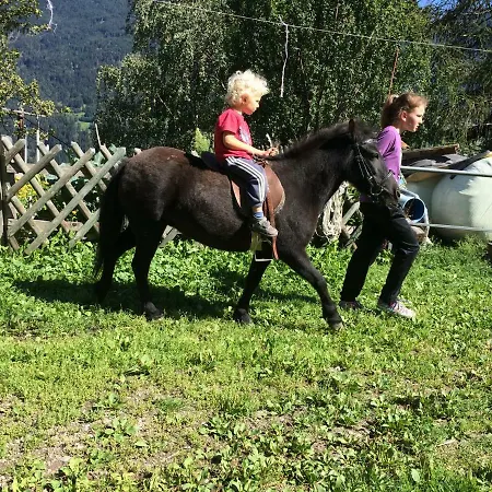 Pirchachhof 아파트 *